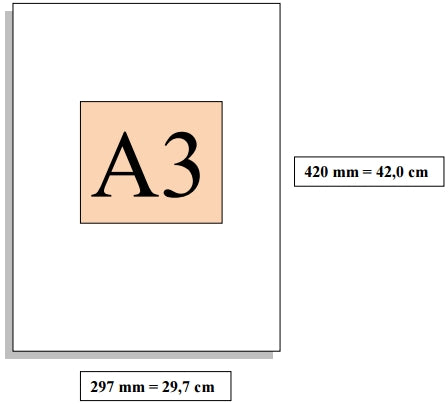 DTF FORMATO A4/A3